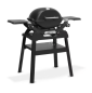 Preview: Weber Q 1200N Gasgrill mit Seitentischen und kompaktem Stand, 1501083